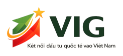 VIG